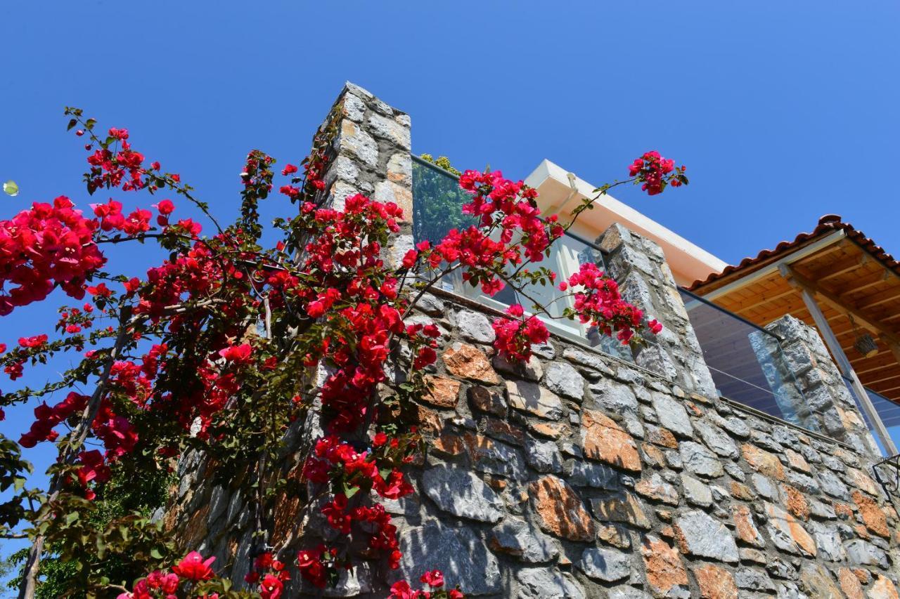 Melina Skiathos Κολιός Εξωτερικό φωτογραφία