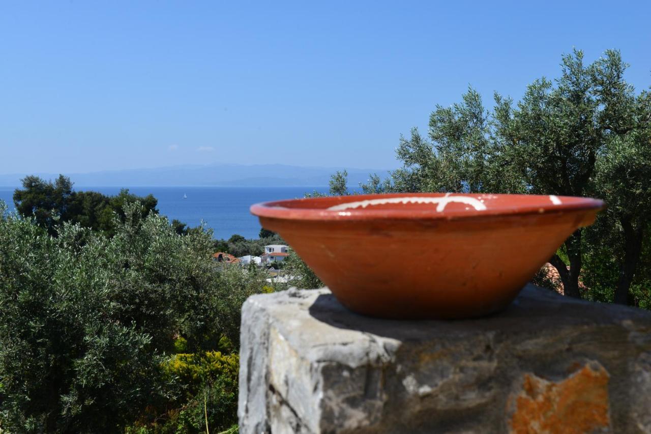 Melina Skiathos Κολιός Εξωτερικό φωτογραφία